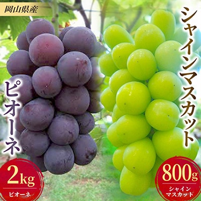 【発送月固定定期便】ぶどうのセット(ピオーネ2kg・シャインマスカット1房)全2回