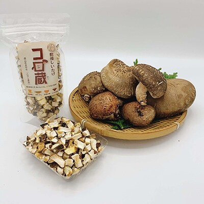 厳選しいたけ約300gとコロ蔵1個セット お礼品詳細 ふるさと納税なら さとふる