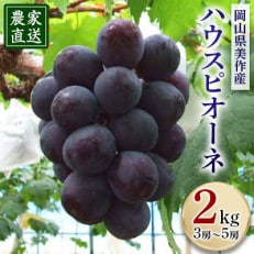 8月上旬出荷 ハウスピオーネ 2kg(3房～5房入り)