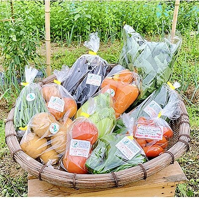 ラブラール美作　季節の新鮮野菜セット(約10種類)