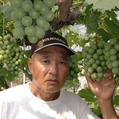 【訳あり】岡山県産シャインマスカット(ご家庭用)約2kg