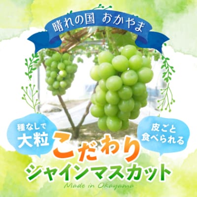 【2025年先行受付】岡山県美作市産　シャインマスカット　1房(700g以上)