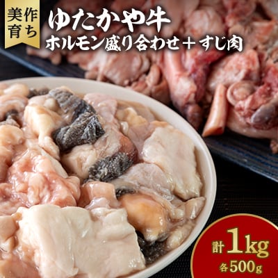 美作育ちの☆ゆたかや牛☆ホルモン盛り合わせ(500g) ・すじ肉(500g) 合計1kg