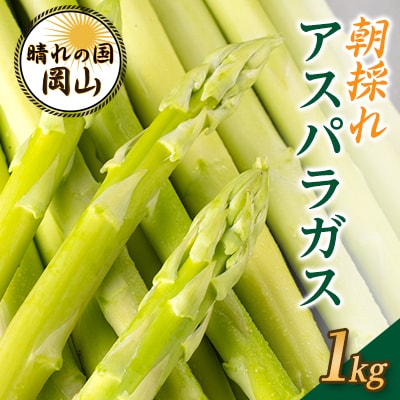 岡山県産　朝採れアスパラガス　1キロ