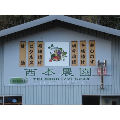 辛しなす　6パックセット