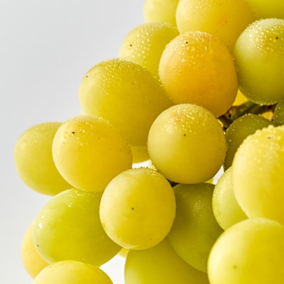 【家庭用】美作市産シャインマスカット　2kg以上(3～5房)