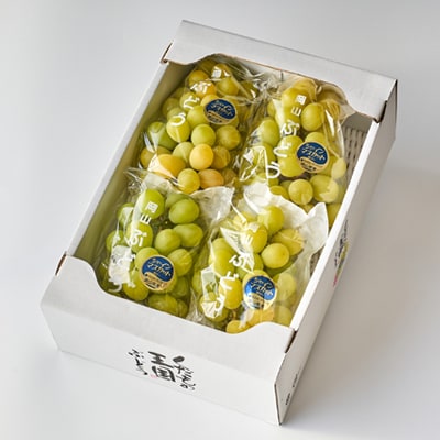 【家庭用】美作市産シャインマスカット　2kg以上(3～5房)