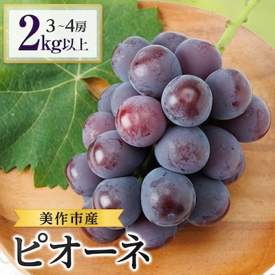 美作市産ピオーネ　2kg以上(3～4房)