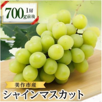 美作市産シャインマスカット700g前後　1房
