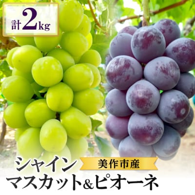 美作市産シャインマスカット1～2房&ピオーネ2房のセット　合計2kg