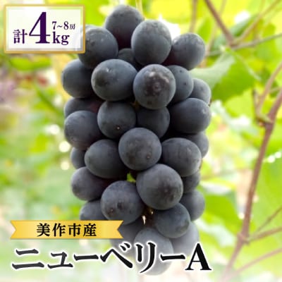 美作市産　ニューベリーA　約4kg(7～8房)