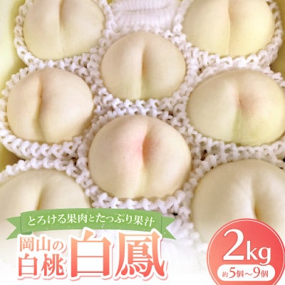 【先行予約・2026年7月発送予定】とろける果肉とたっぷり果汁の岡山の白桃・白鳳(2kg箱)