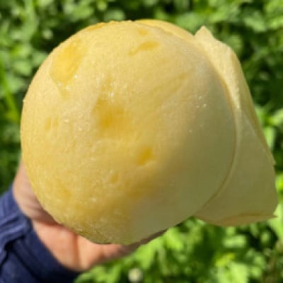 【先行予約・2025年7月下旬頃発送】とろける果肉とたっぷり果汁の岡山の白桃・清水白桃(2kg箱)