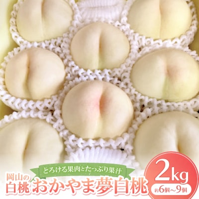 【先行予約・2025年8月上旬より発送予定】岡山の白桃・おかやま夢白桃(2kg箱)