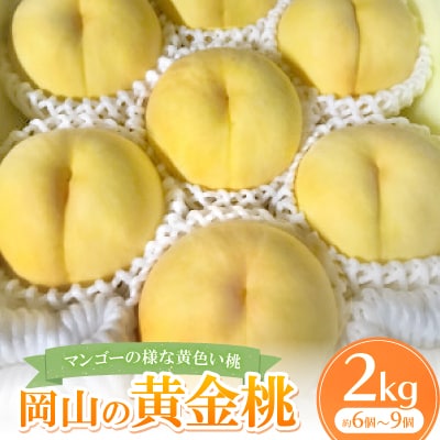 【先行予約・2025年8月上旬より発送予定】岡山県産・マンゴーの様な黄色い桃・黄金桃(2kg箱)