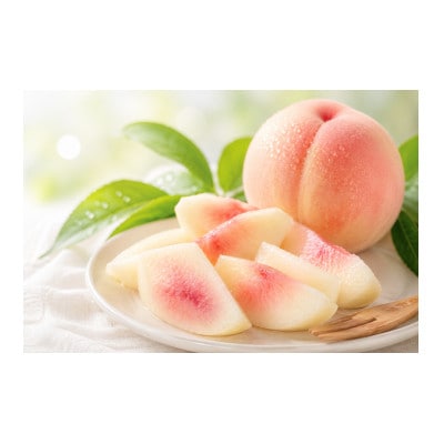 【先行予約】岡山の白桃・約2kg(5～9玉)7月下旬頃から9月上旬頃順次発送予定