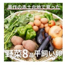 【畑から直送】味覚を育む旬の野菜約8種と自然卵10コ入り