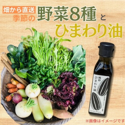 【畑から直送】味覚を育む旬の野菜8種+ひまわり油