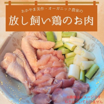 放し飼いにわとりのお肉　600～800g