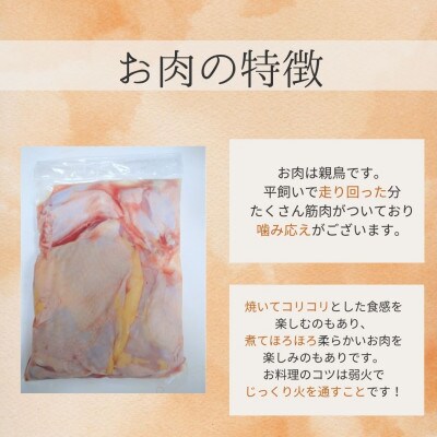 放し飼いにわとりのお肉　600～800g