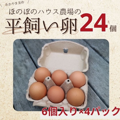 【朝採り】季節の平飼い卵有精卵6個入り×4パック