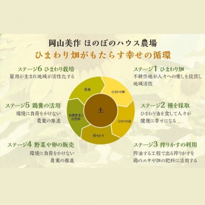 【美作産】天空のひまわり畑から採れたひまわり油
