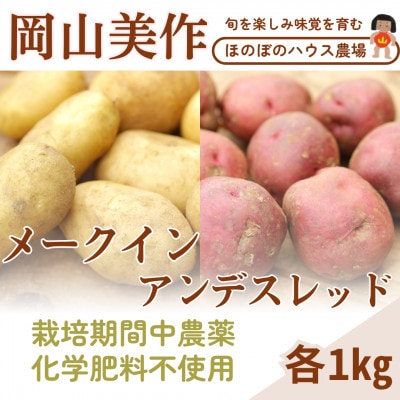岡山県美作産じゃがいも食べ比べセット(アンデスレッド&メークイン)　各1kg