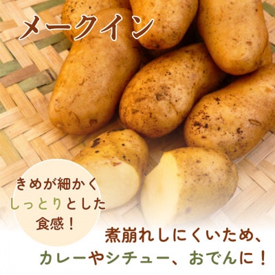 岡山県美作産じゃがいも食べ比べセット(アンデスレッド&メークイン)　各1kg