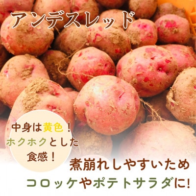岡山県美作産じゃがいも食べ比べセット(アンデスレッド&メークイン)　各1kg