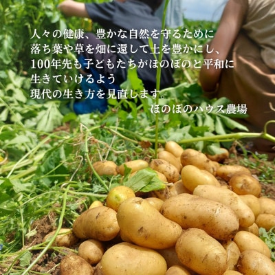 岡山県美作産じゃがいも食べ比べセット(アンデスレッド&メークイン)　各1kg