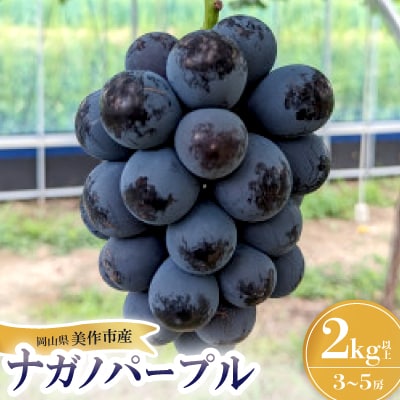ナガノパープル　2kg(3房～5房)