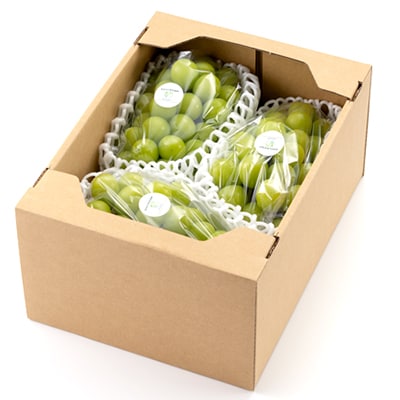 【2026年先行受付】岡山県美作市産 シャインマスカット 2kg