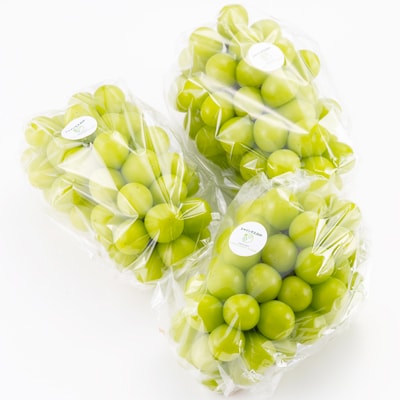 【2026年先行受付】岡山県美作市産 シャインマスカット 2kg