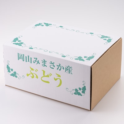 【2026年先行受付】岡山県美作市産 シャインマスカット 2kg