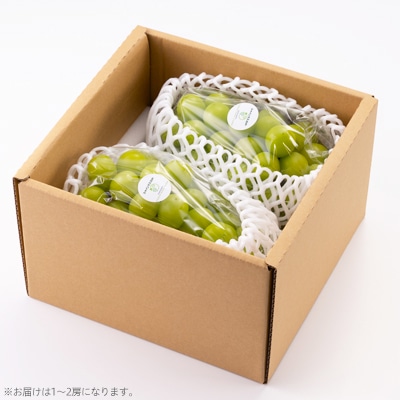 美作市産シャインマスカット1Kg