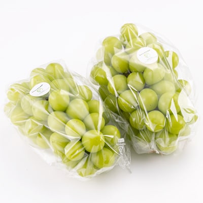 美作市産シャインマスカット1Kg