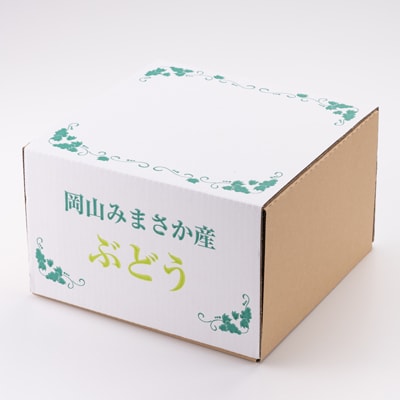 美作市産シャインマスカット1Kg