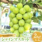 【訳あり】シャインマスカット 2Kg