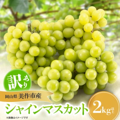 【訳あり】シャインマスカット 2Kg