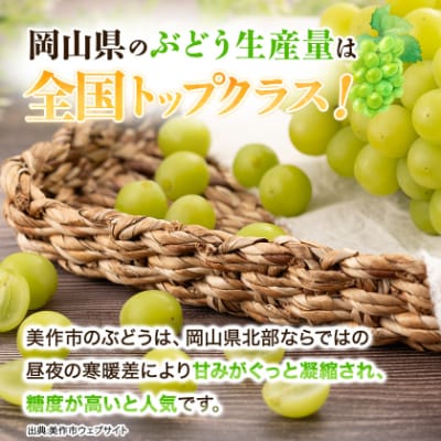 【訳あり】シャインマスカット 2Kg