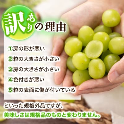 【訳あり】シャインマスカット 2Kg