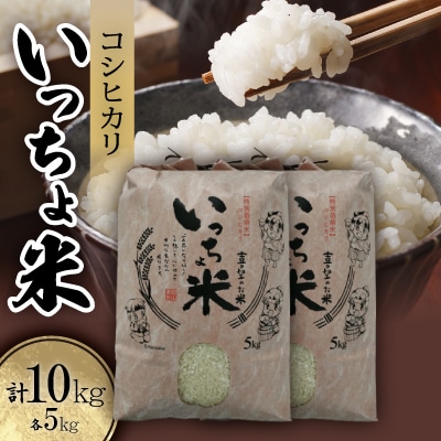 コシヒカリ　いっちょ米(5kg×2袋)