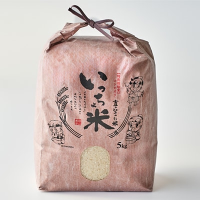 コシヒカリ　いっちょ米(5kg×2袋)