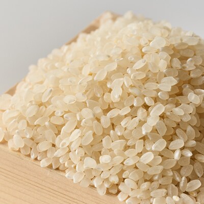 コシヒカリ　いっちょ米(5kg×2袋)