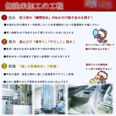 【無洗米】岡山県産こしひかり10kg(5kg×2)
