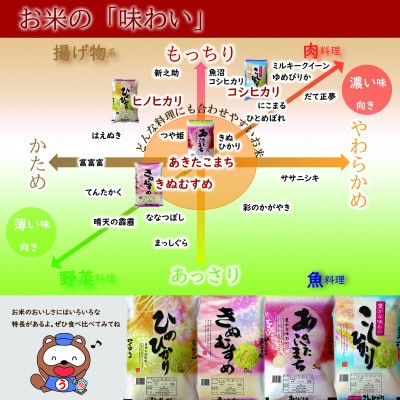 【無洗米】岡山県産こしひかり10kg(5kg×2)
