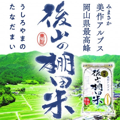 美作アルプス　後山の棚田米(精米)5kg　　1袋