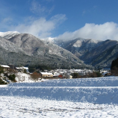美作アルプス　後山の棚田米ひめのもち(精米)1.5kg×2袋