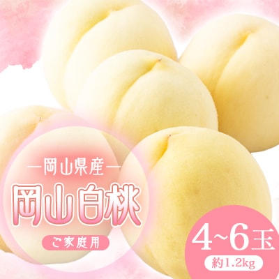 2026年先行予約　岡山白桃(ご家庭用)1.2キロ(1箱4～6玉)