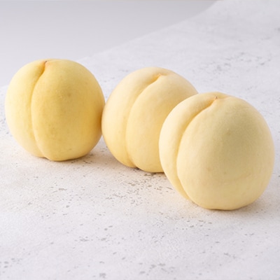 2026年先行予約　岡山白桃(ご家庭用)1.2キロ(1箱4～6玉)